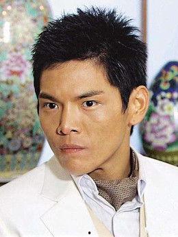 向佐的资料,从武术冠军到影视明星的华丽蜕变