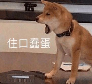 接着炫耀表情包